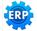 Custom ERP Solutions